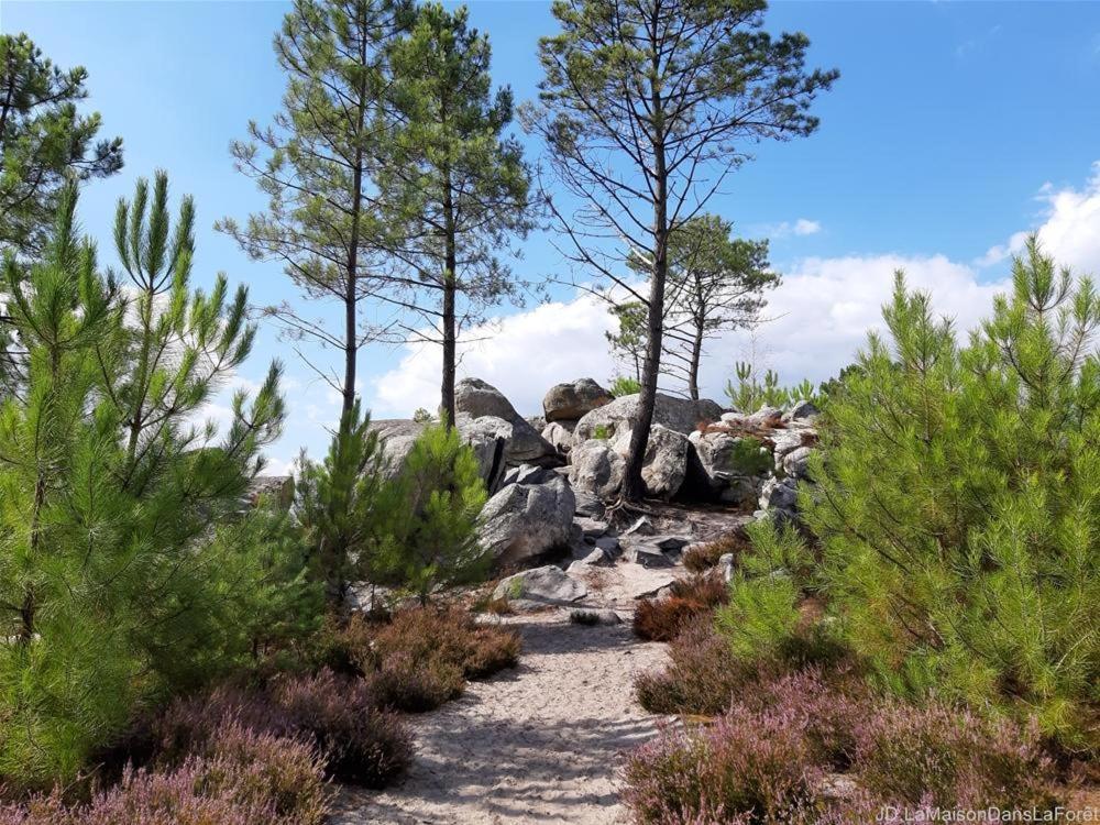 La Parenthese - Bois-le-roi, Foret De Fontainebleau Appartement