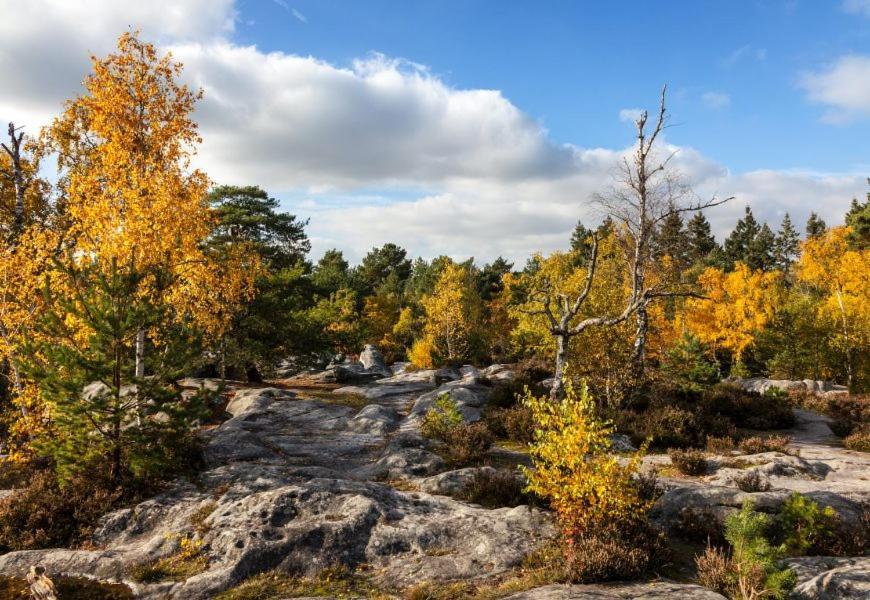 La Parenthese - Bois-le-roi, Foret De Fontainebleau